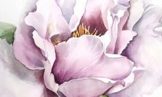 良辰吉日：2022虎年公历3月生肖属鸡适合新店开张的黄道吉日