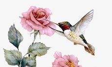 2022年公历4月店铺开张良辰吉日 开张吉利日子