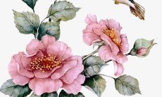 2022虎年4月开张吉利日子 本月宜忌分析