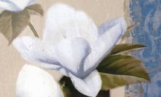 2022年6月黄历查询开张大吉之日 开张吉利日子