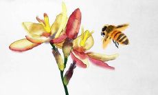 2022年5月最宜开业开张吉利日子 最佳开张吉日