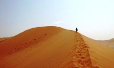 鲍元清姓名评分87分