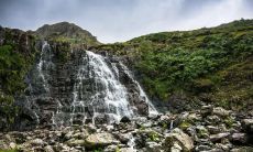 汤铣姓名评分83分