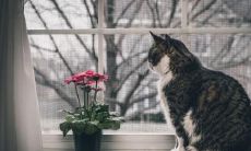 翁佩珊姓名评分89分