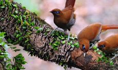 横财即将来的十大征兆是什么