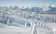 田予洲姓名评分65分