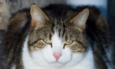 邱旭亮姓名评分92分