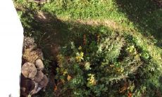 嵇志光姓名评分82分