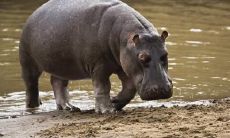 柏耀伟姓名评分79分