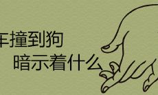 车撞到狗暗示着什么 有什么吉凶忌讳