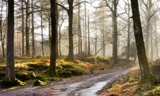 陶云海姓名评分85分