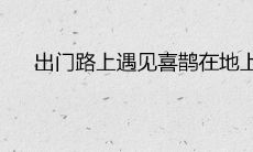 出门路上遇见喜鹊在地上代表什么预兆