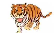 1986属虎女会有二婚吗，86年属虎女感情运势及运程