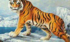 2021年属虎人戴什么可以防小人