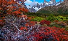 窦效禹姓名评分74分