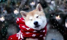 石润芹姓名评分94分