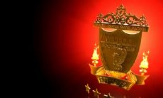 荣生英姓名评分81分