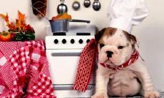 杭志愿姓名评分66分