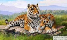 属虎女人佩戴什么金饰最适合