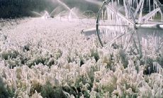 童海翔姓名评分99分