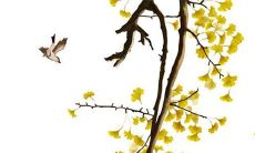 7月中生肖属龙装修黄道吉日一览表 装修良辰吉日