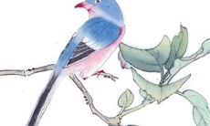 2022虎年七月适合装修开工的吉日 有以下2天