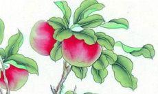 2022寅虎年阴历七月适合装修开工的好日子 助运吉日查询