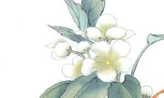 2022虎年七月最适合装修的吉利日子 黄道吉日一览表