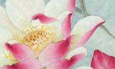 生肖属牛7月最佳装修房间的吉日 好日子分析