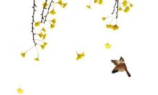 公历7月属虎之人适合装修新房的黄道吉日 这些天日子不错