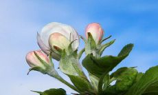 2022年科技公司名字 有内涵的技公司名字