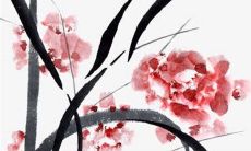 2023年1月25日特吉生肖查询冲煞生肖情况