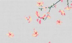 2023属猪人躲着谁 性格不和尽量远离