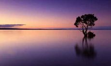 1998年属虎女旺夫吗 婚姻命运如何