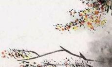 2023生肖狗的幸运色 大吉大利修成正果