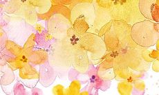 2023年1月23日有哪些特吉生肖十二生肖运势排行