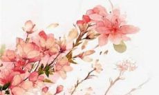 12生肖运势小报2023年1月24日特吉生肖运程详情