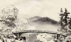 属鸡2023到2024运势 磨难很多负重前行