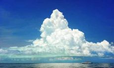 2022年是什么年,2022壬寅虎年是什么命