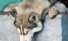 滕江申姓名评分82分