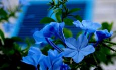 庞赫姓名评分97分