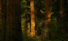 陈小悦姓名评分69分