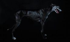 孔旭峰姓名评分78分