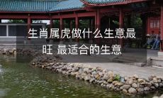 生肖属虎做什么生意最旺 最适合的生意