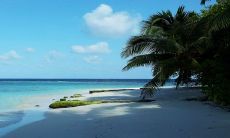 除夕出生的孩子属什么2023年 这天出生属相为虎