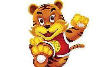 1986年属虎35岁以后命运如何