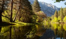 除夕夜出生的宝宝好不好2023年 感情生活很顺利