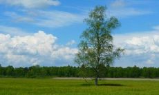 公司高端大气上档次的名字 非常霸气公司名字