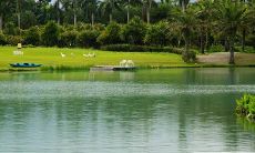 虎年都是哪些年份 虎年什么月份出生好命