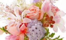 2023年5月17日结婚好不好 适合嫁娶黄道吉查询